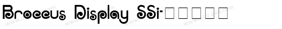 Broccus Display SSi字体转换